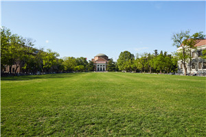 在職工商管理一級學科包含哪些專業？涵蓋多個領域！